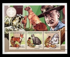 Basenji rhodesian ridgeback usato  Spedire a Italy