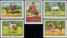 Fujeira 1970 horses for sale  BIRMINGHAM