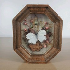 Chuck kondor butterfly for sale  Lowell
