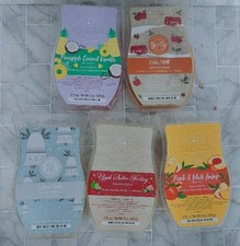 Lot five scentsy for sale  Beckley