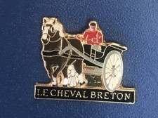 Pin cheval breton d'occasion  Vitré