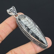 Orthoceras fossil gemstone for sale  Jamaica