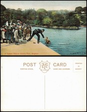 Postcard brighton gallant gebraucht kaufen  Ortrand