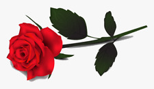 Rose flower iron for sale  MANCHESTER