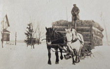 1920s farmer reins for sale  New Hartford
