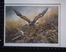 Mick cawston limited for sale  DUNFERMLINE
