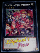 Yugioh trappolatrice rafflesia usato Yugioh trappolatrice rafflesia usato  Fano