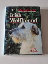 Magnificent irish wolfhound for sale  NORWICH