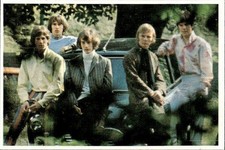 bee gees usato  Italia
