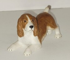 Vintage aynsley cocker for sale  Garrison