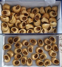 Lot 100 coquilles d'occasion  Saint-Dizier