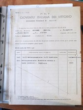 Pnf gil foglio usato  Zerbolo