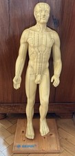Vintage akupunkturmodell fa gebraucht kaufen  Mannheim