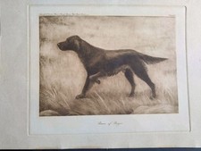 Vintage print flat for sale  BUXTON