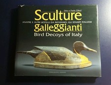 Sculture galleggianti. bird usato  Roma