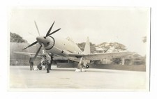 wyvern westland for sale  UK