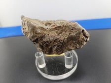 Prehistoric complete finch for sale  Belleville