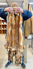 Red fox tanned for sale  Lennox