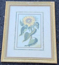 beautiful flower print framed for sale beautiful flower print framed for sale Monrovia