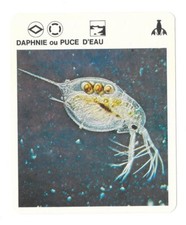 Fiche livre paris d'occasion  Nancy-