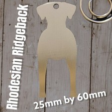 Rhodesian ridgeback etichetta usato  Spedire a Italy