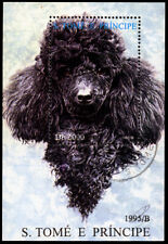 Poodle black french for sale  UK