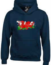 Wales paint splash for sale  MANCHESTER