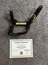 LIFE IS GOOD Suporte de Corrida de Cavalos Garanhão Usado/Usado com COA 4 Vezes Vencedor Grau 1 comprar usado  Enviando para Brazil