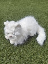 Classic sugar white for sale  HOCKLEY