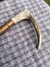 Deer antler handle for sale Deer antler handle for sale  ULVERSTON