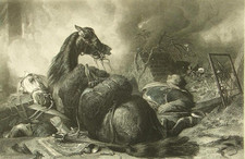 landseer prints for sale  UK