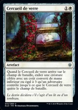Cercueil verre trone d'occasion  Bellegarde