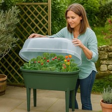 4 tier plastic greenhouse for sale 4 tier plastic greenhouse for sale COLCHESTER