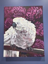 White mccaw parrot for sale  Greenfield