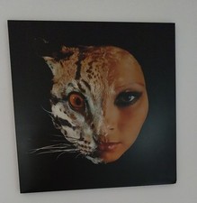 Wandbild metall 50x50 gebraucht kaufen  Stuttgart