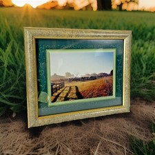 Horses equestrian ranch for sale  Grimes