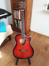 Hohner professional westerngit gebraucht kaufen  Westerholt