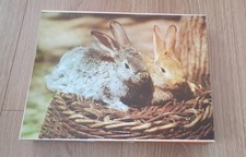 Ddr puzzle 300 gebraucht kaufen  Rudolstadt