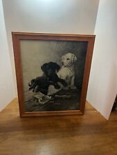 Labrador retriever puppies for sale  Oklahoma City