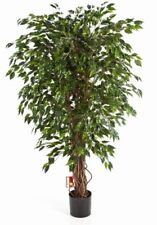 Künstlicher ficus baum gebraucht kaufen  Hamburg