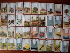 Antikes lenormand kartenleger gebraucht kaufen  Gera