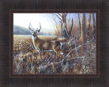 Bluff country buck for sale  Onamia