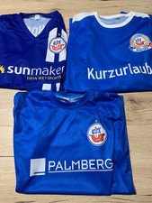 hansa rostock shirt gebraucht kaufen  Neukloster