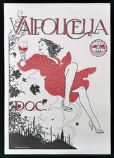 Valpolicella poster manifesto usato  Torino