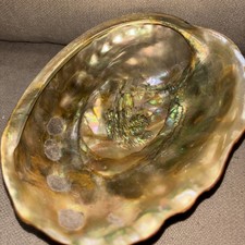 Vtg red abalone for sale  Lachine