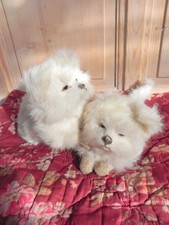 Anciens chiens peau d'occasion Anciens chiens peau d'occasion  Roussillon