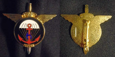 Insigne militaire régiment d'occasion  Meung-sur-Loire