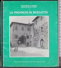 Provincia roma. provincia usato  Ariccia