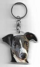 Whippet chien porte d'occasion  Concarneau