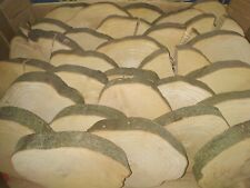 Baumscheibe buche basteln gebraucht kaufen  Sehmatal